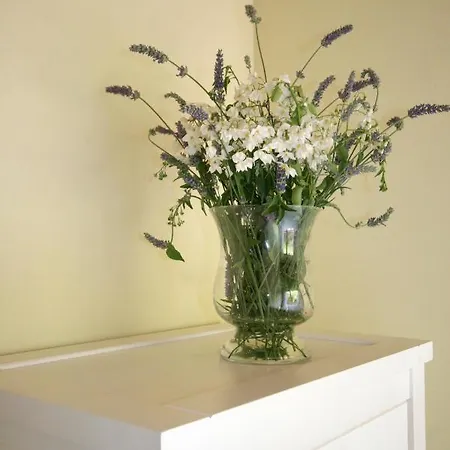 Apartmán Apartamentos Bores *