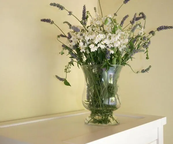 Apartment Apartamentos Bores *